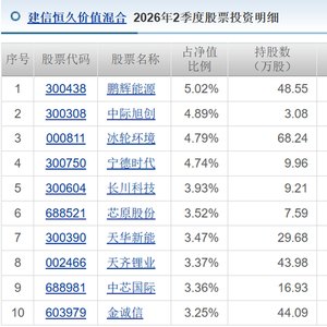 建信基金研究部副总 四只基金全部亏损